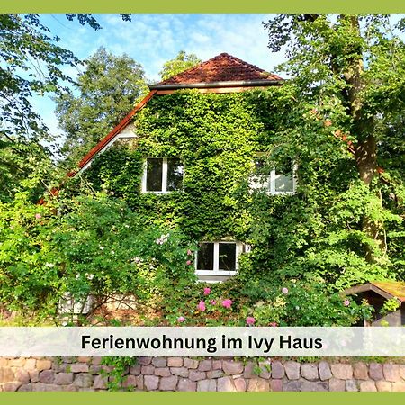 Apartamento Ivy Haus Falkensee Exterior foto